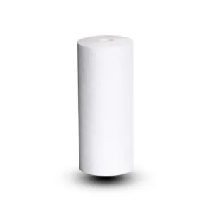 10″ BB PP Sediment Filters